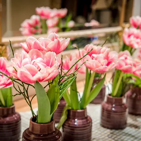 酒店 Post Superior 莱尔莫斯